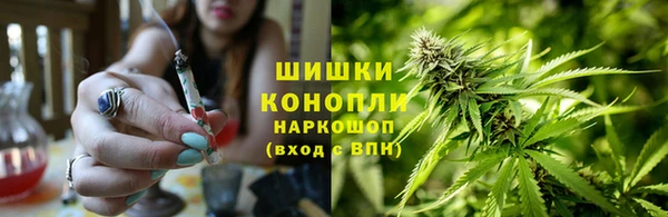 прущие крисы Армянск