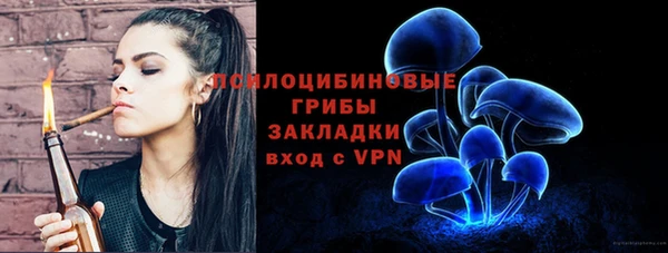 СК Арсеньев