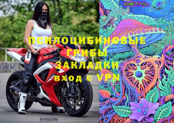 СК Арсеньев