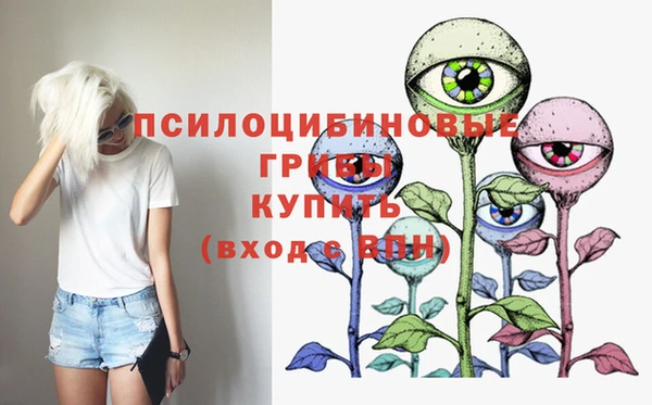 прущие крисы Армянск
