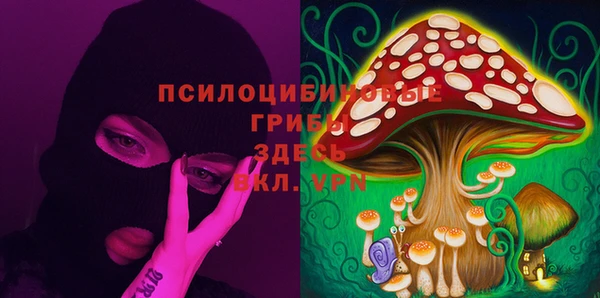 прущие крисы Армянск