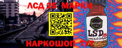 прущие грибы Ставрополь