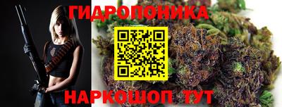 скорость Славгород