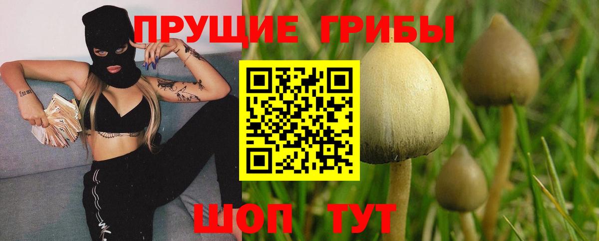 Галлюциногенные грибы ЛСД  Вход с VPN  Семилуки  Псилоцибиновые грибы Cubensis 